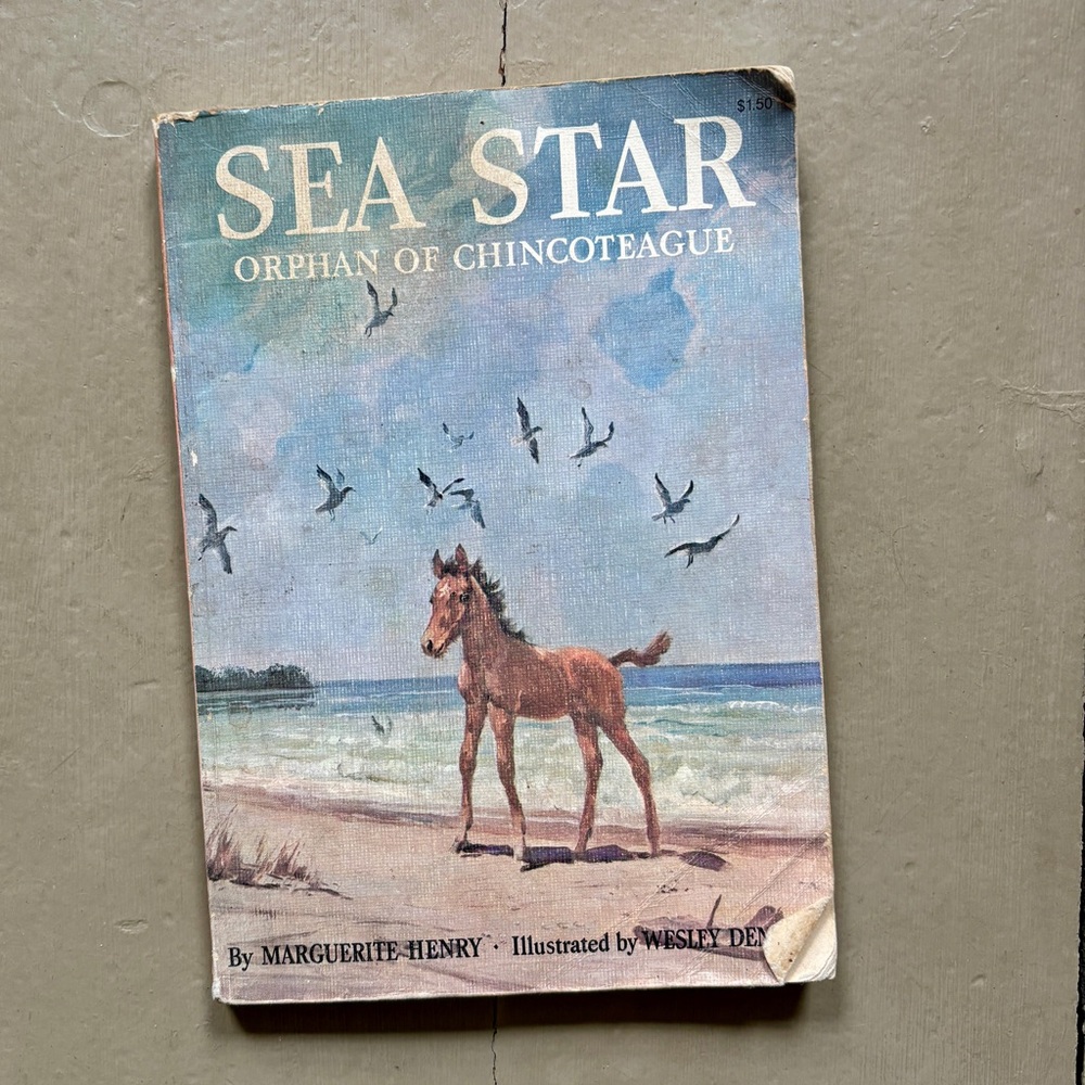 1974 Sea Star Orphan of Chincoteague Horse Virginia Marguerite Henry Childrens